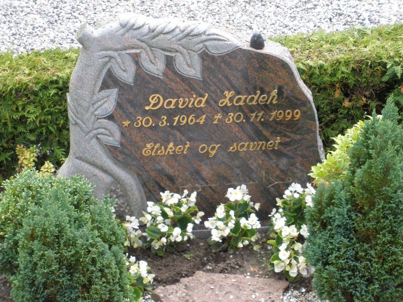David Ladeh.JPG